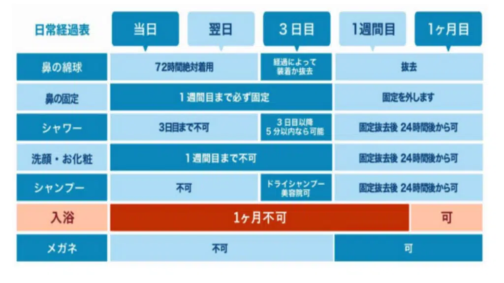 鼻尖形成
